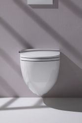 LAUFEN | CLEANET RIVA WASHING TOILET